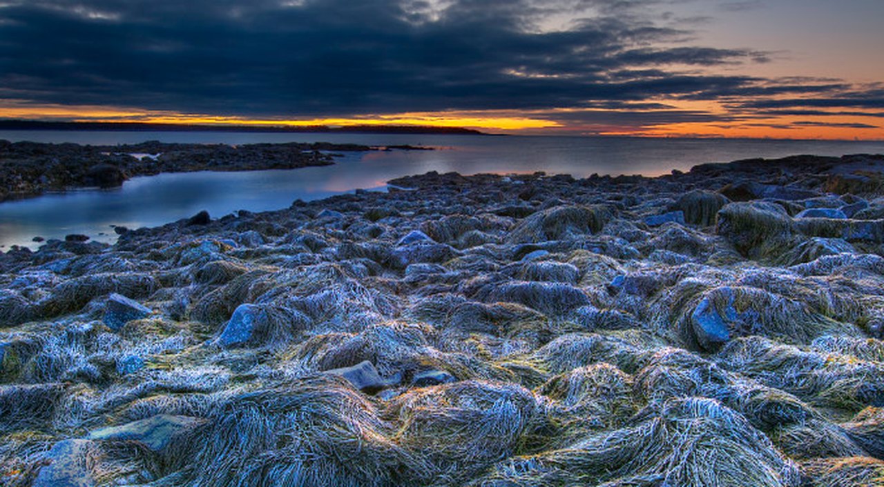 10 Places In Maine That Will Make You Swear You're On Another Planet ...