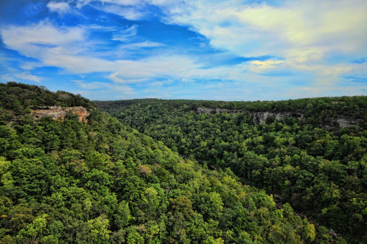 Canyons In Alabama: The Grand Canyon Of The East