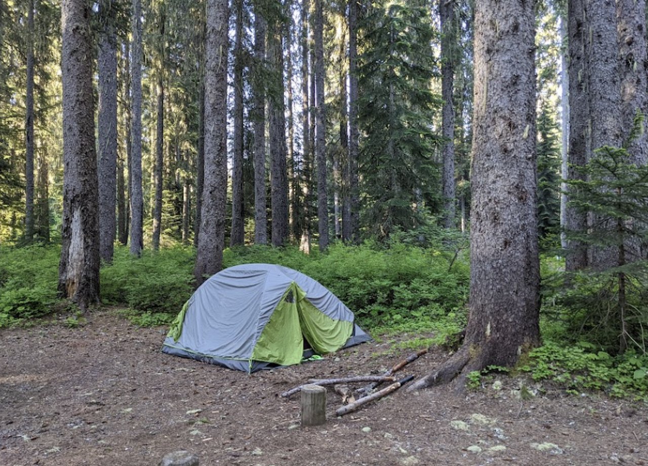 5 Wilderness Camping Essentials from Stanley