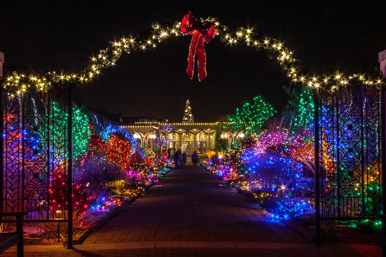 11 Best Christmas Lights Near Denver For An Enchanting Evening
