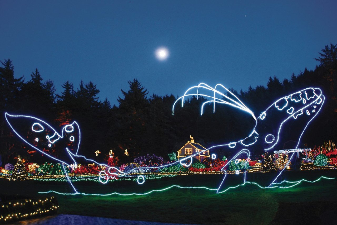 11 Best Christmas Light Shows In Oregon To Dazzle Your Senses