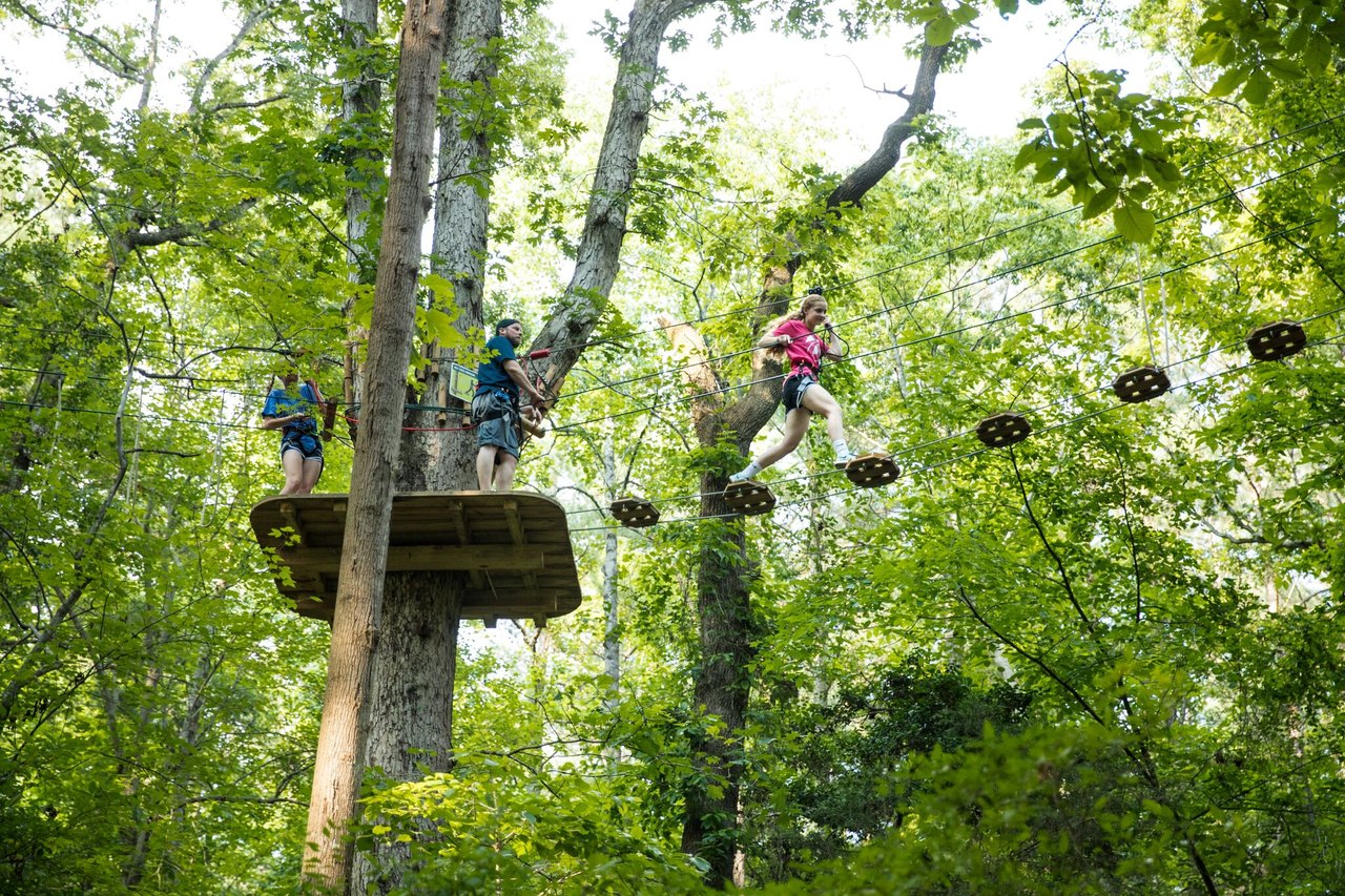 There’s An Adventure Park In Delaware That Everyone In Your Family Will ...