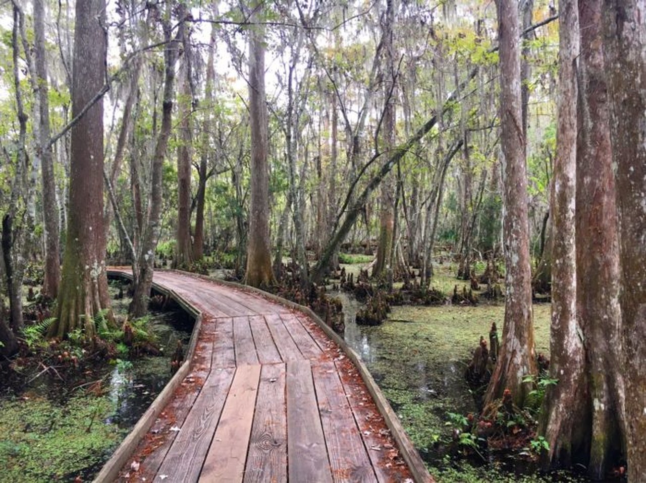 12 Of The Most Breathtaking Trails In Louisiana You Have To See
