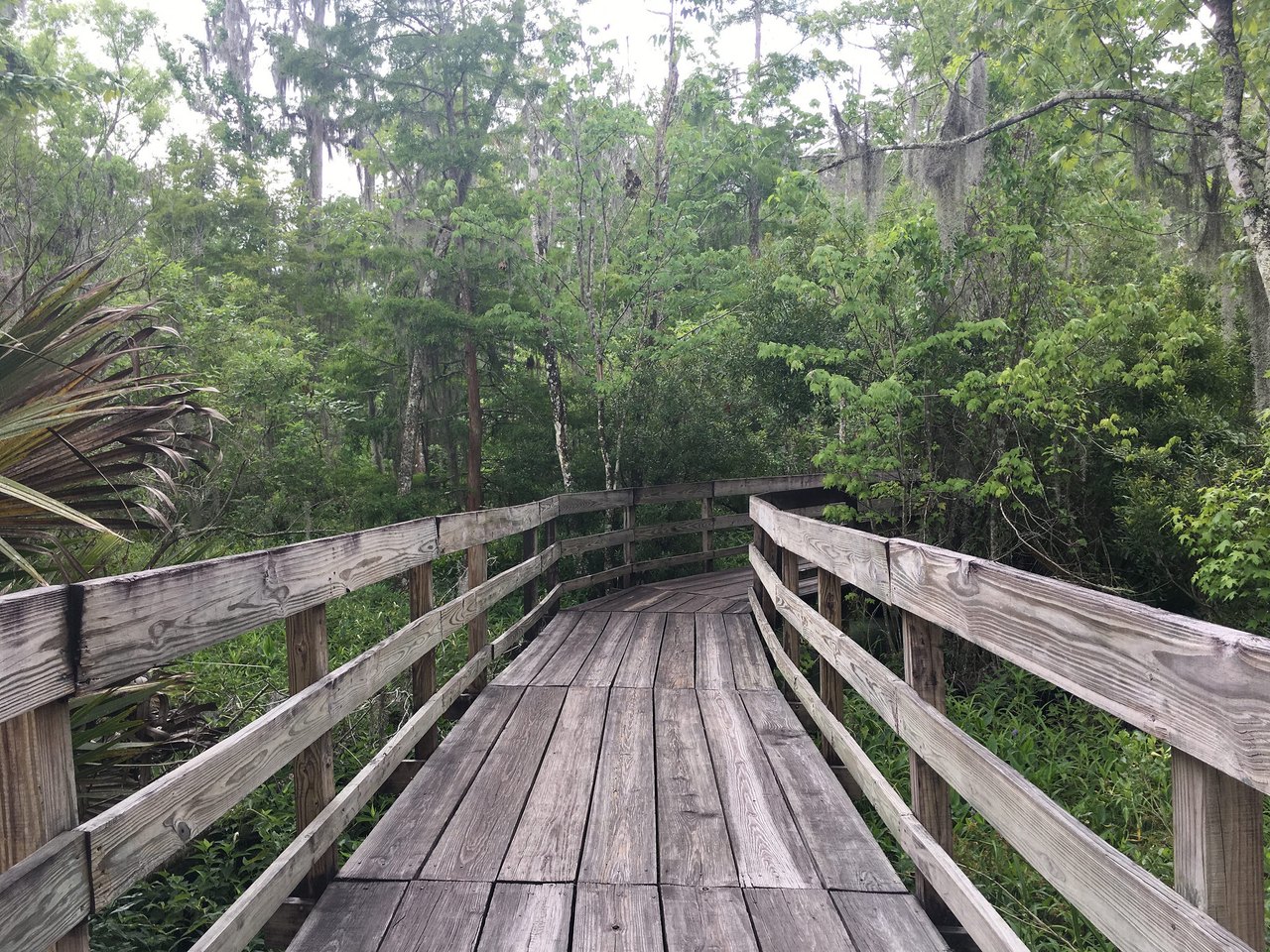 This Barataria Preserve Trails Have Some Of The Shortest And Sweetest ...