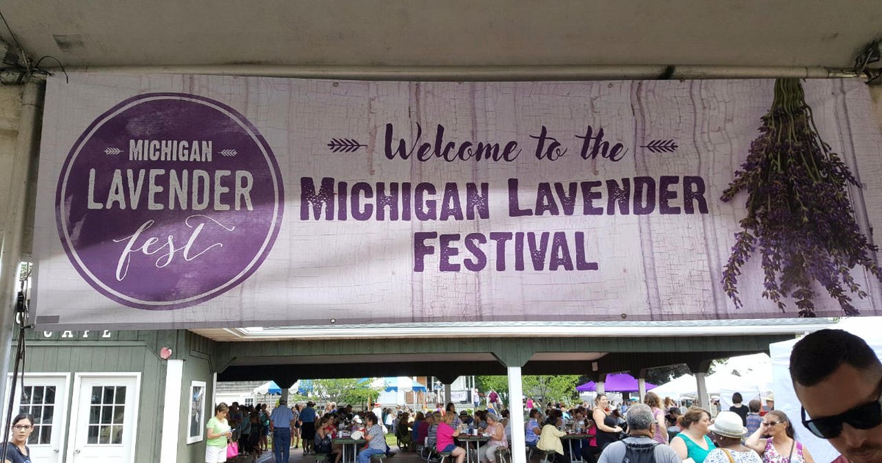The Michigan Lavender Festival Is Blooming Again This Year