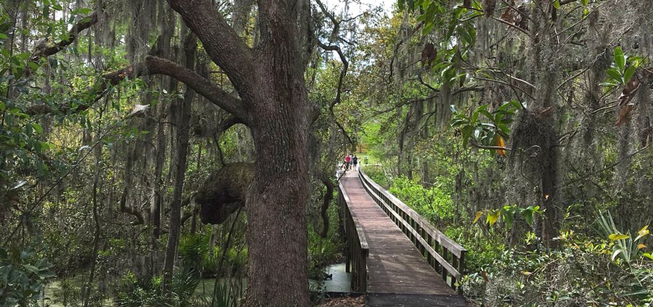 The Cypress Wetlands Trail In Port Royal South Carolina Is Like A Walk ...