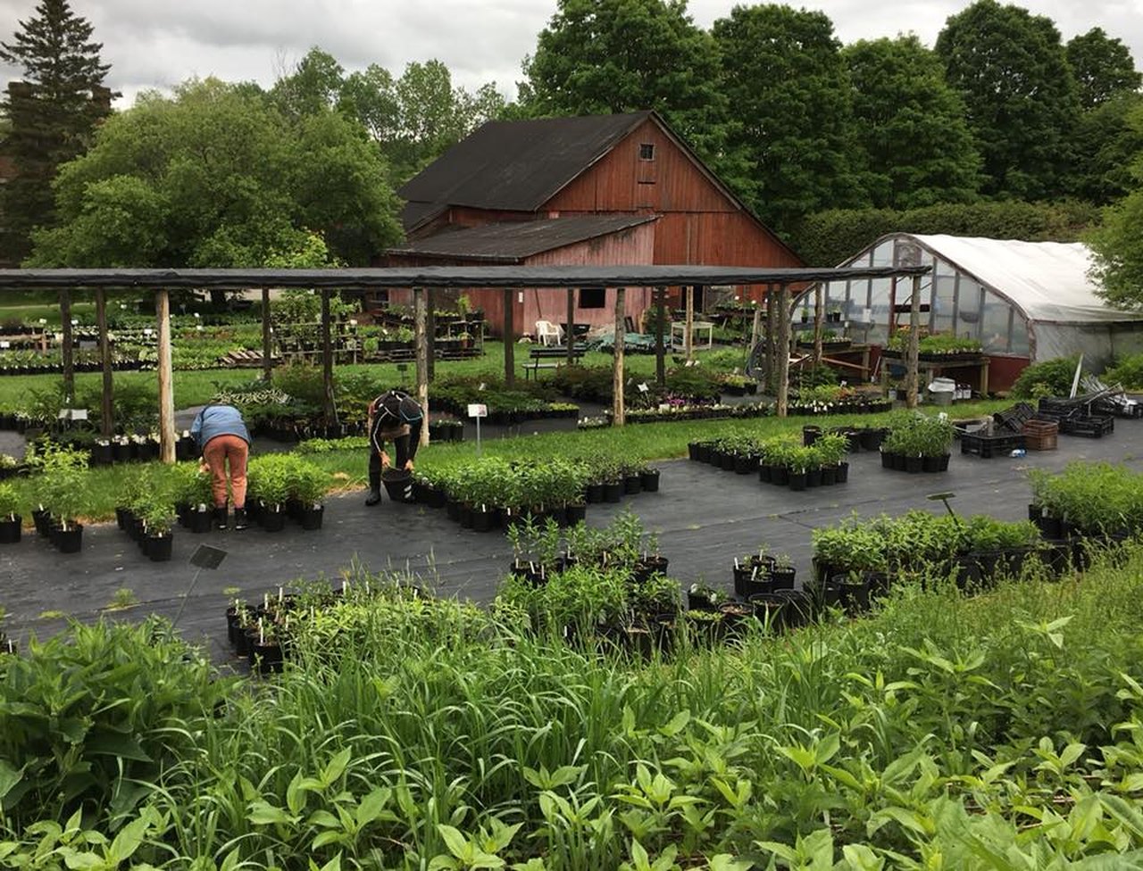 Perennial Pleasures Nursery In Vermont Has An Enchanting Garden Tea Room