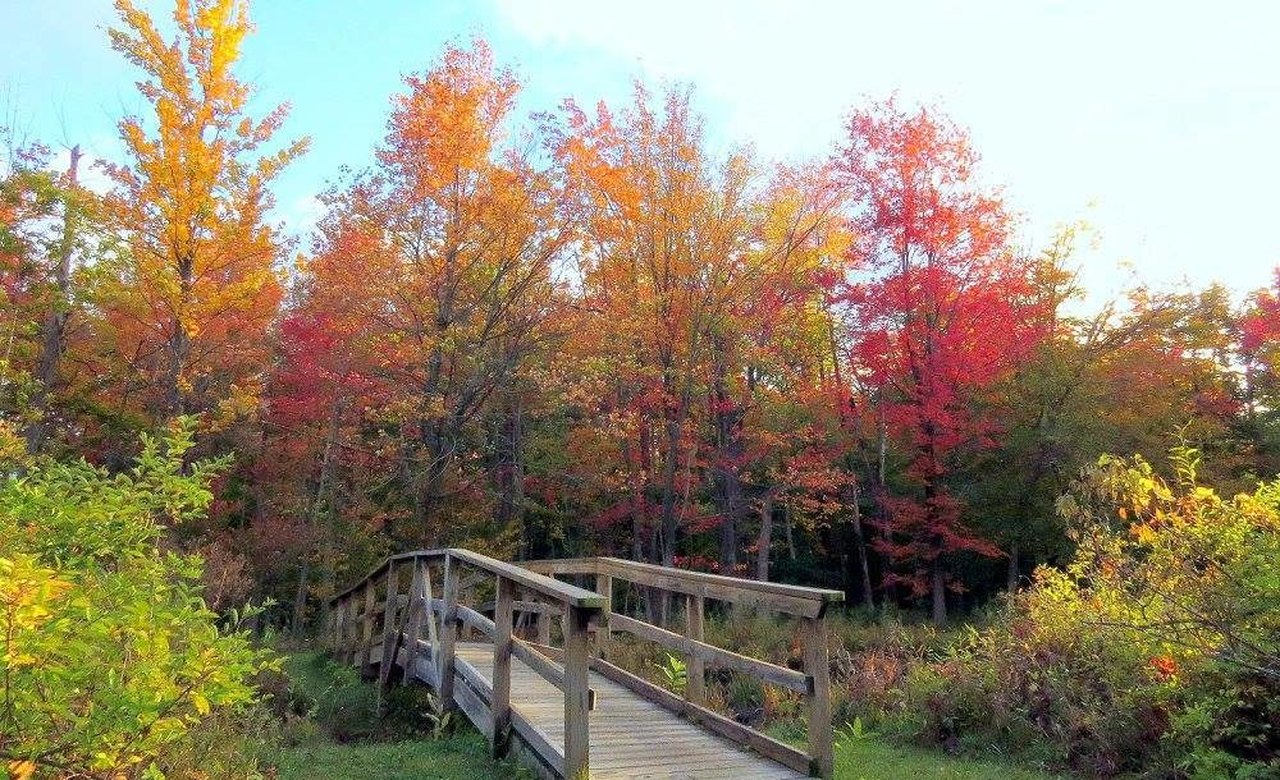 Reinstein Woods Nature Presve Is Best Hike For Fall Foliage In Buffalo