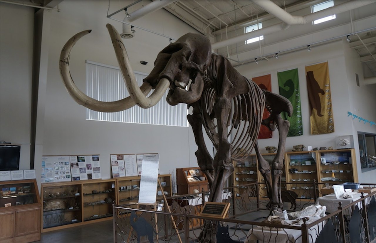 This Fossil Center In Northern California Is Perfect For A Family Trip