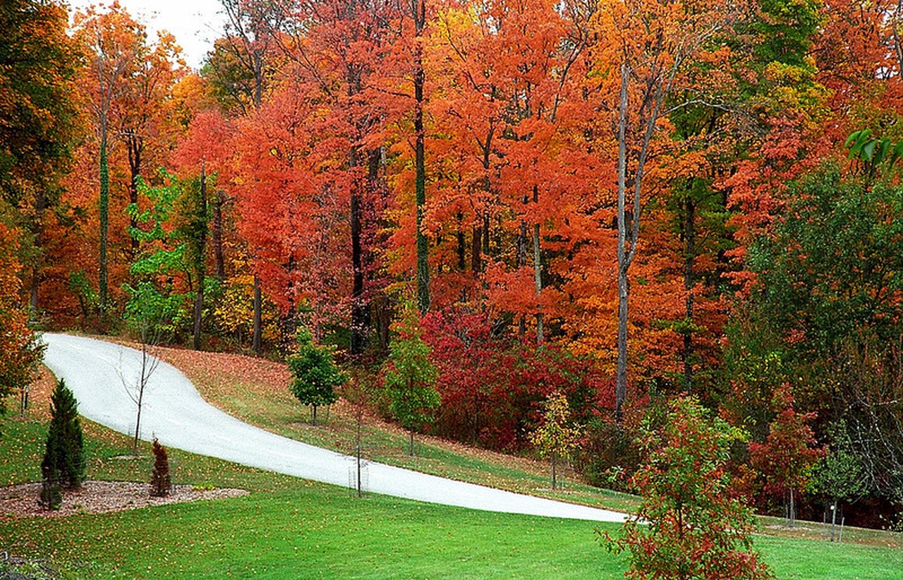 This Map Shows Where And When To See Fall Foliage In Ohio
