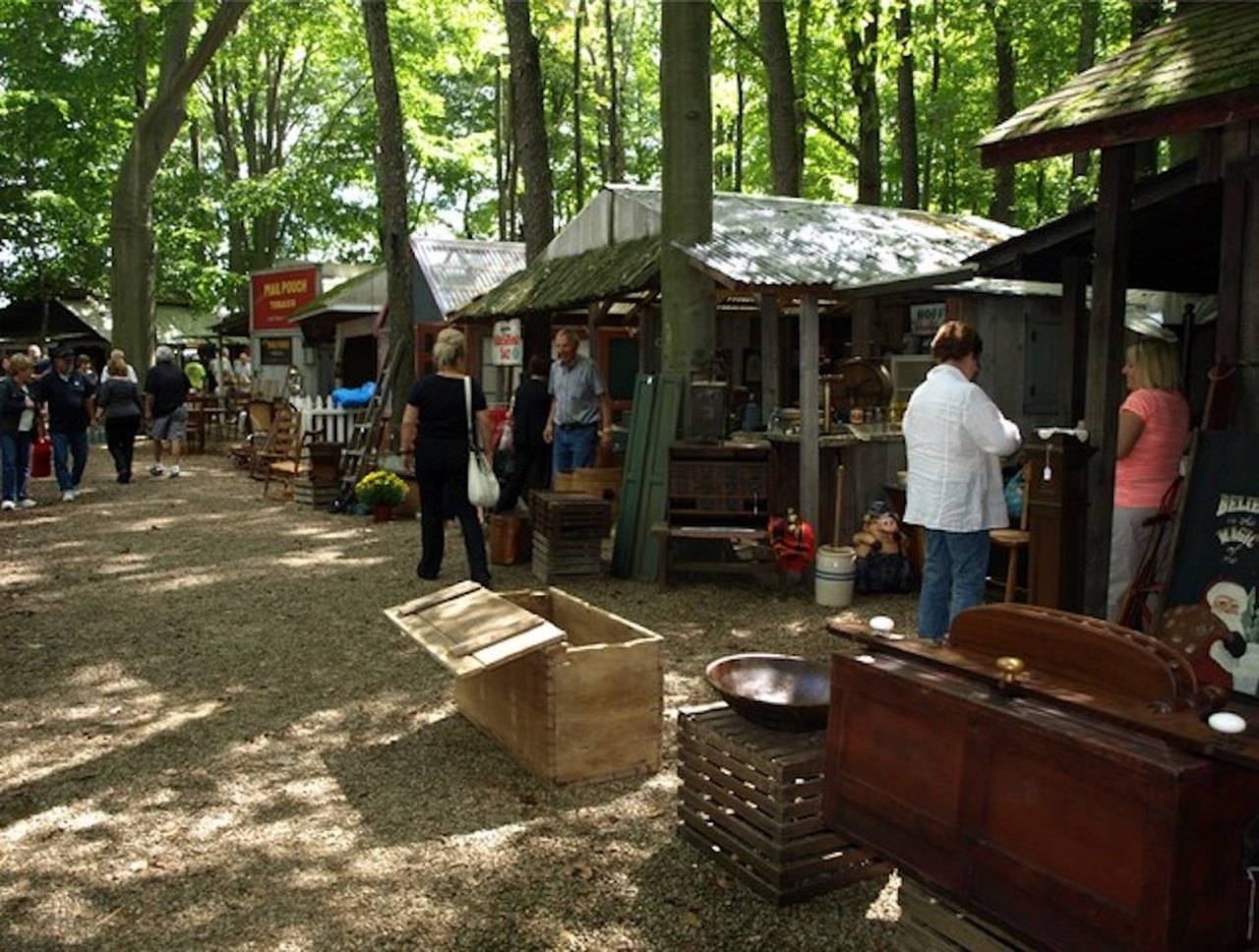 Antiques In The Woods A 2Day Ohio Festival at Shaker Woods