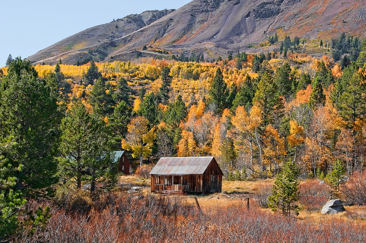 The Best Fall Foliage Can Be Found In Northern California's Hope Valley