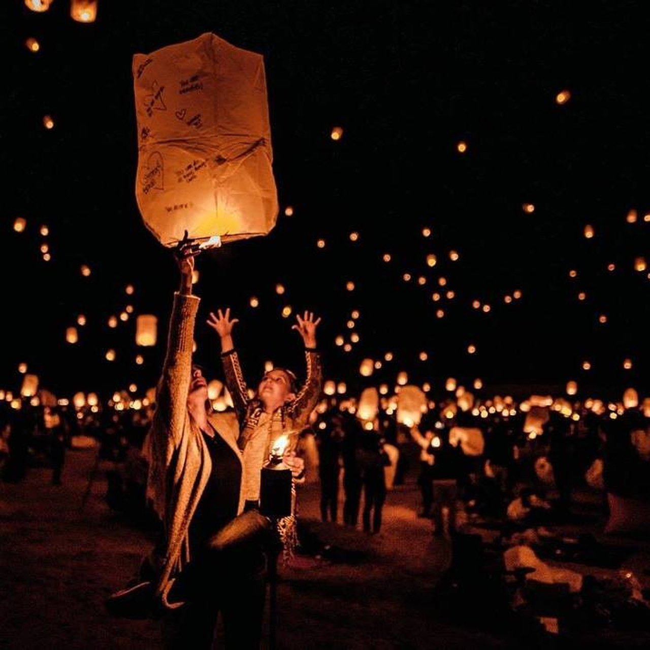 Lantern Festival in 4k  The Lights Fest 