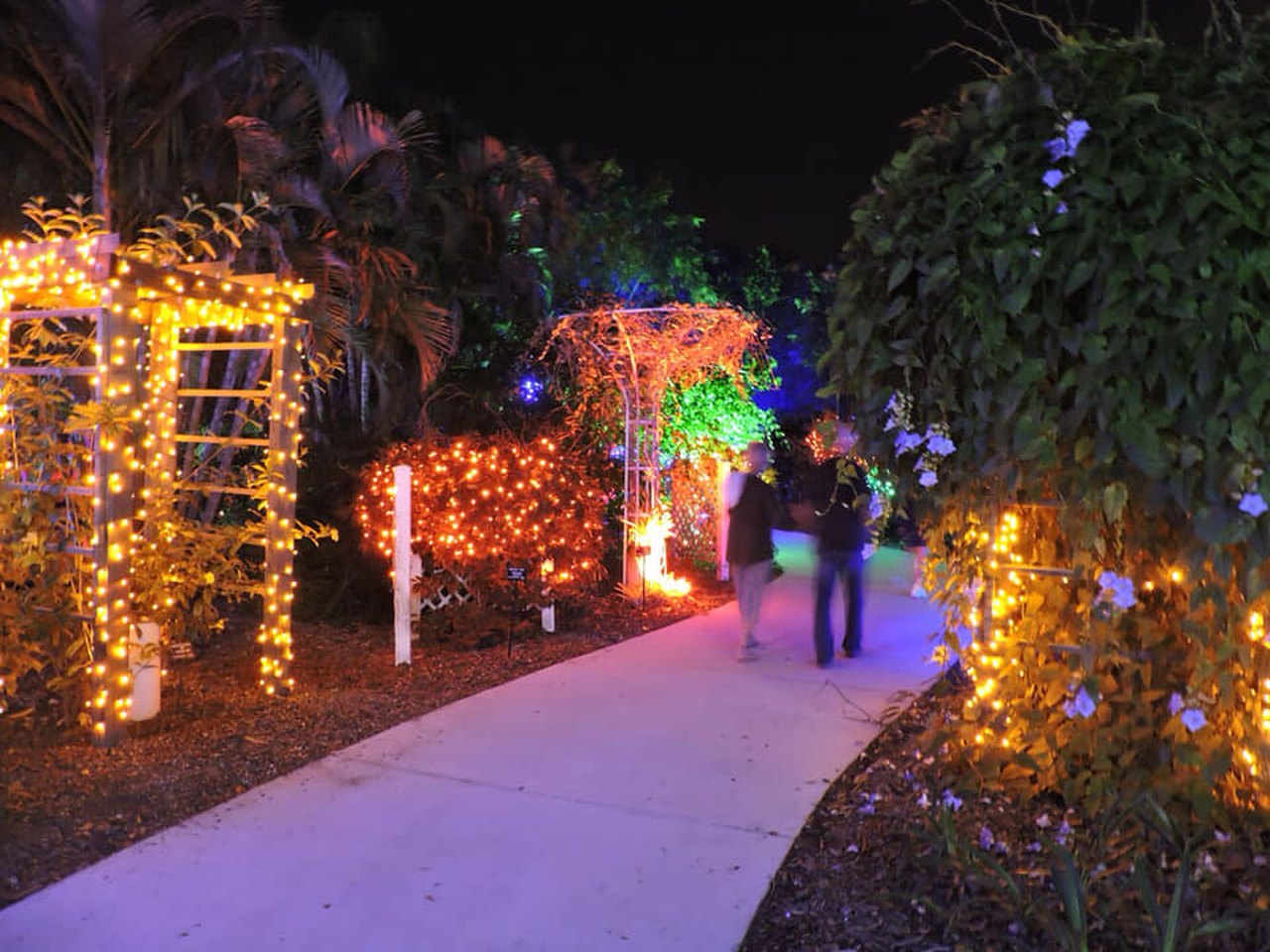 Best Christmas Light Display In Florida Florida Botanical Gardens