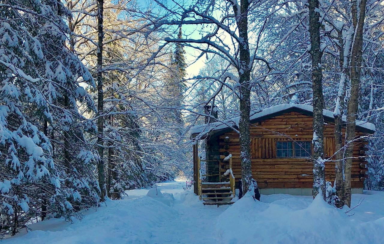 For A Fabulous Staycation, Visit Rustic Log Cabins In Lisbon, NH