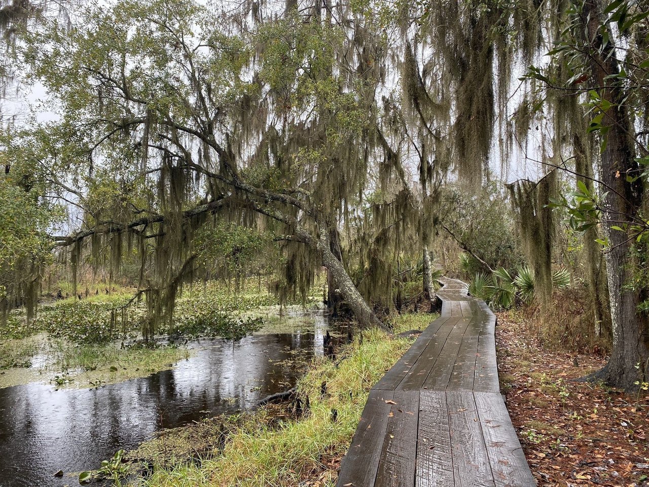 The Best Hikes In New Orleans That Are Also Short And Sweet