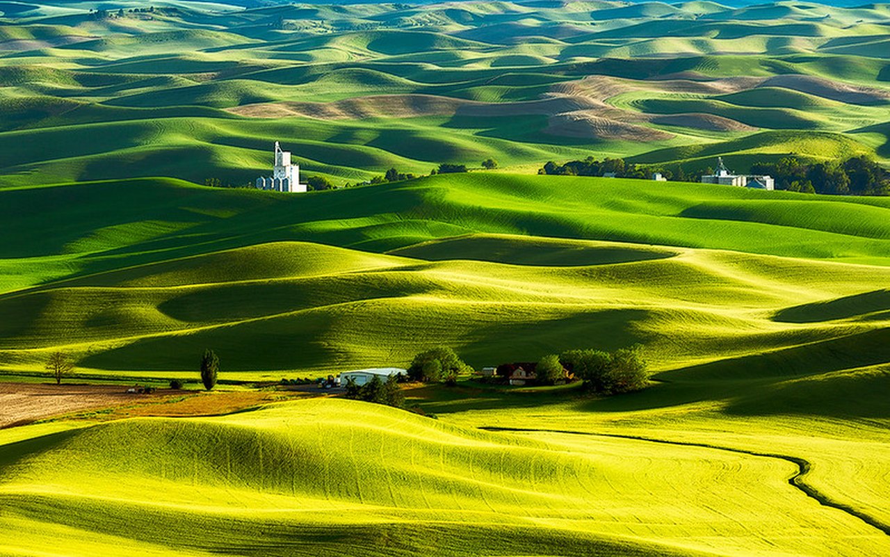 The Palouse Was Named The Most Beautiful Place In Washington State