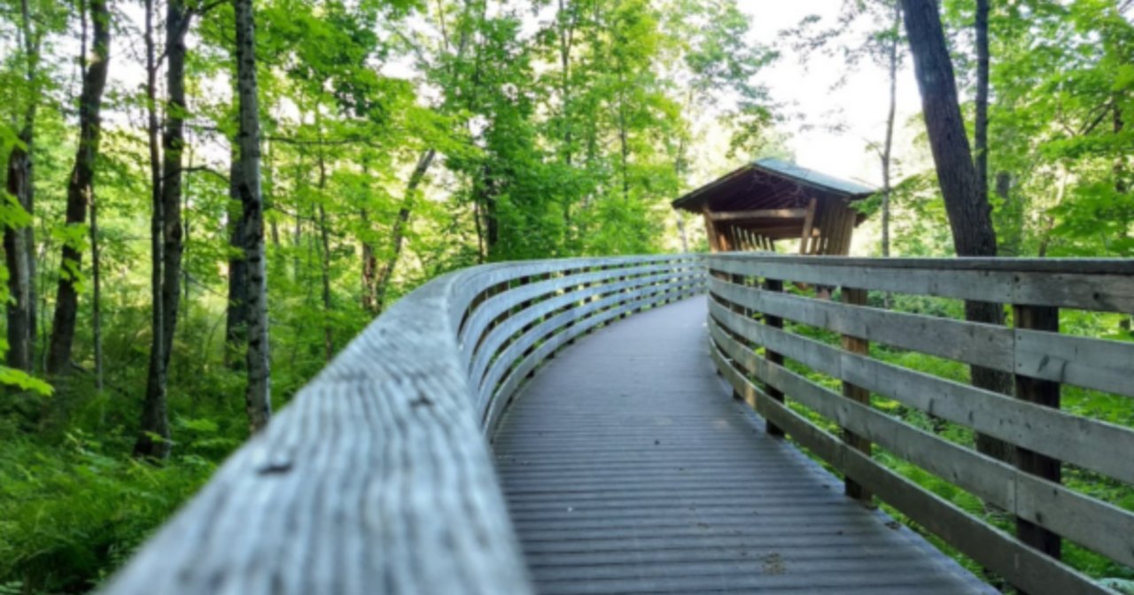 This Easy Trail In Maine Features A Boardwalk, Bridge, And More