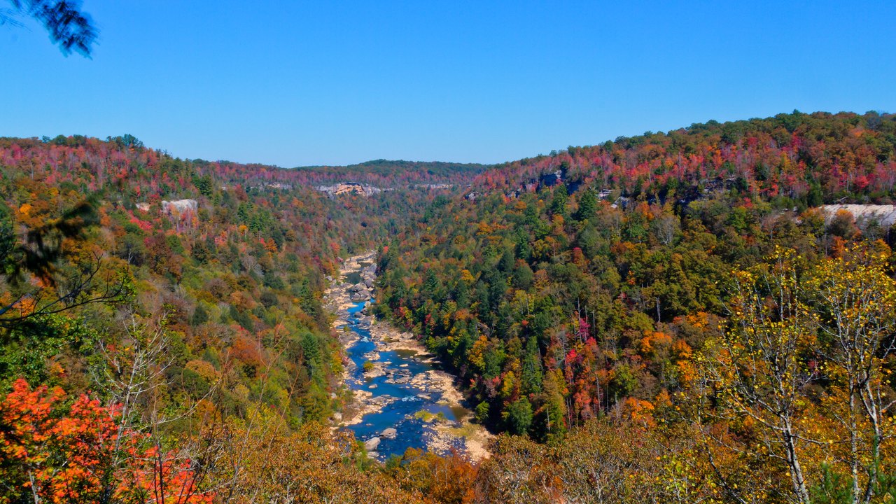These 7 Overlooks Across Tennessee Are The Perfect Spots For Stunning ...