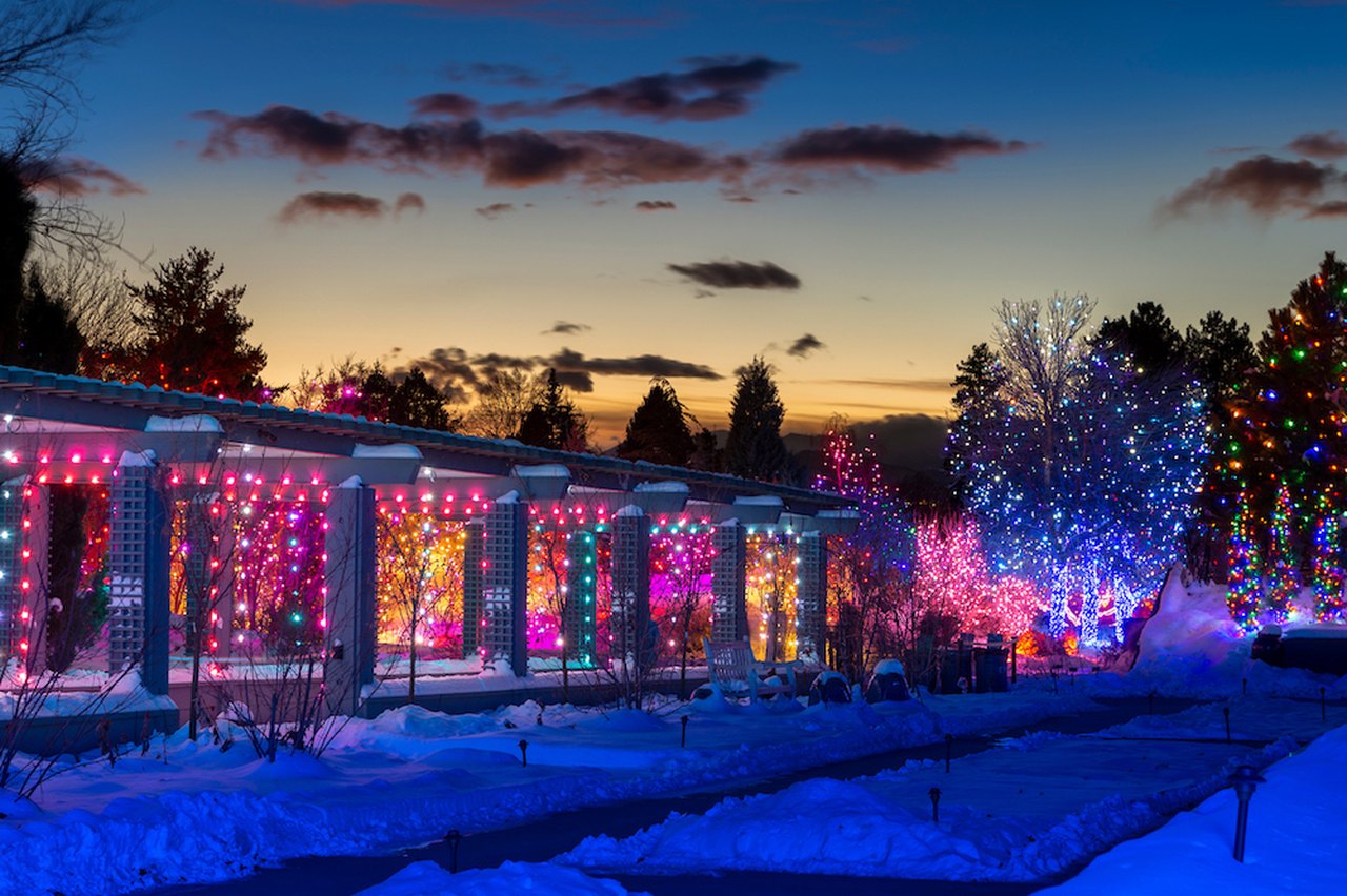 Blossoms Of Light: Christmas Light Display In Denver