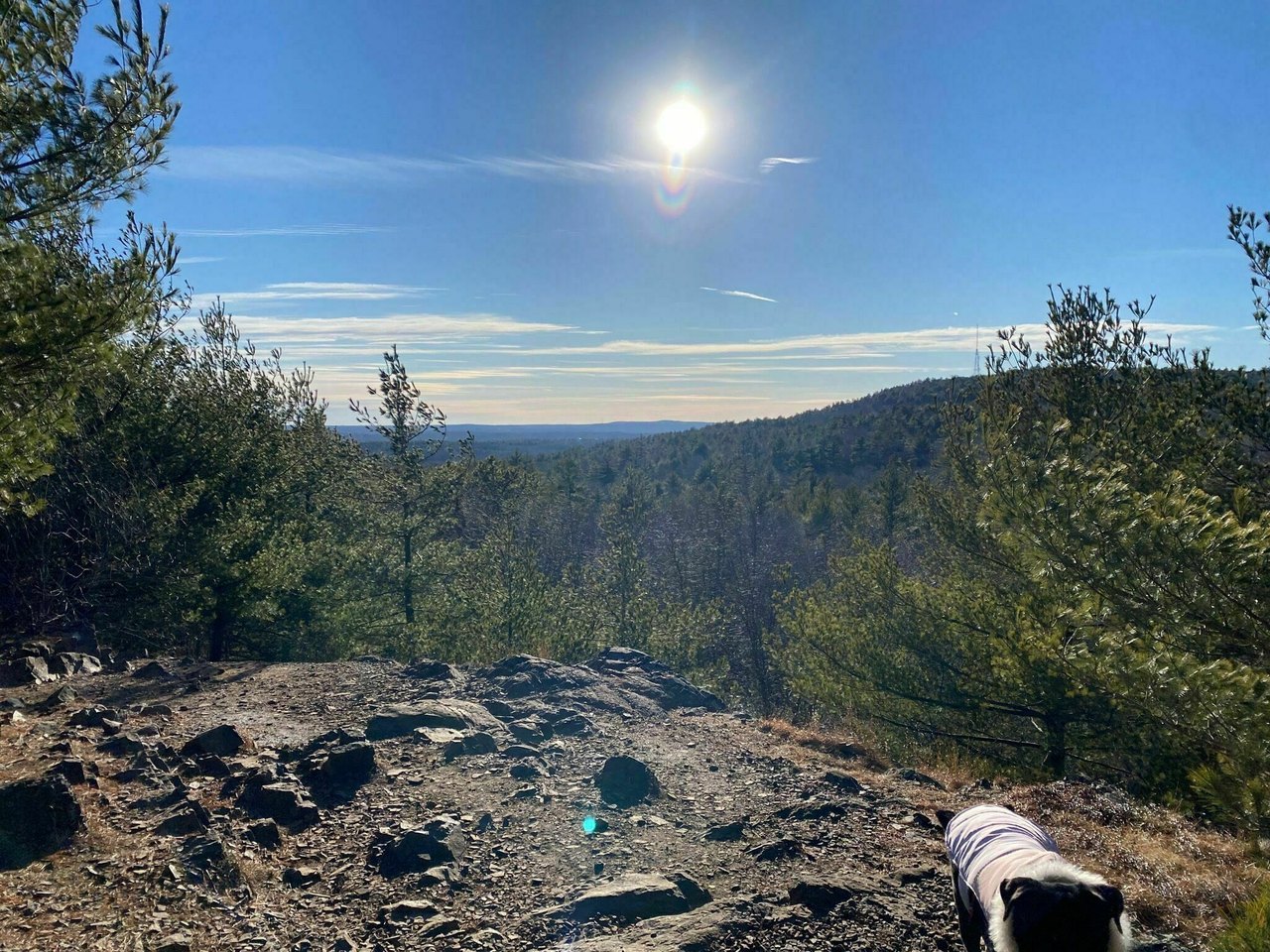 Explore The Blue Hills Reservation On The Skyline Trail In Massachusetts 4858