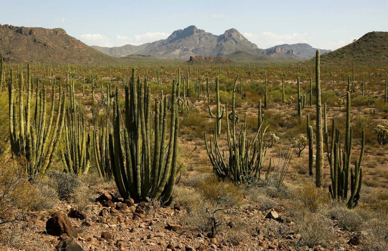 The Arizona Hidden Gems Road Trip That Leads To 6 Destinations 6181