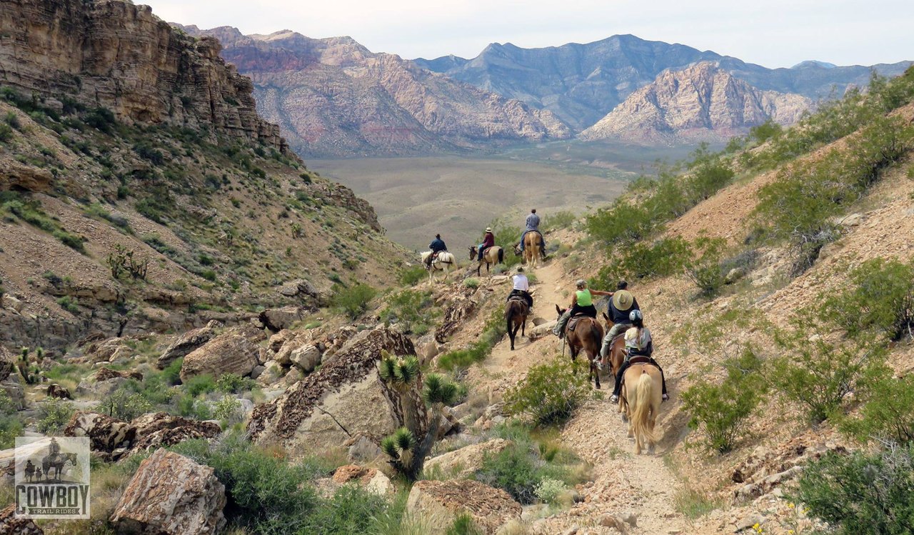 Take A Horseback Ride Through Red Rock Canyon In Nevada