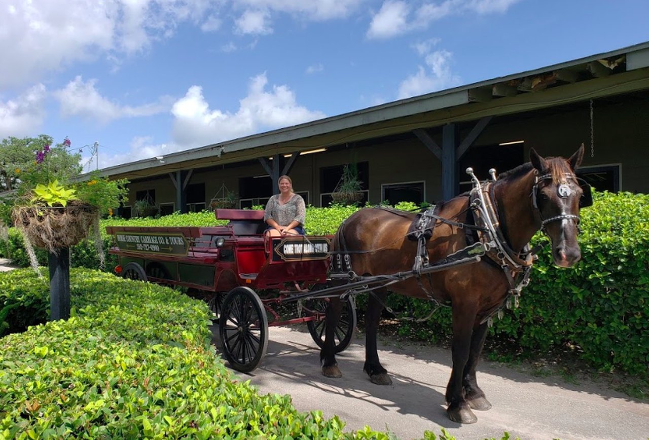 horse country carriage tours