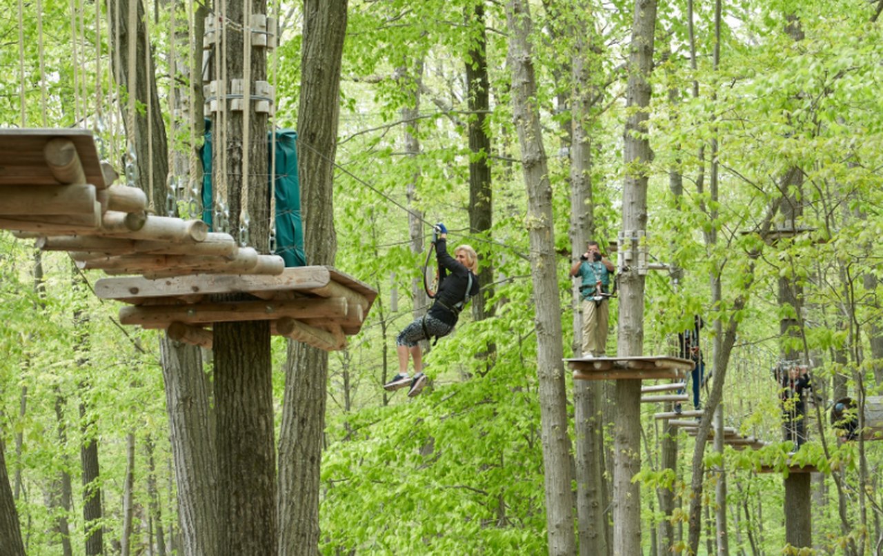 Visit Treetop Adventure Course In New Jersey Woods