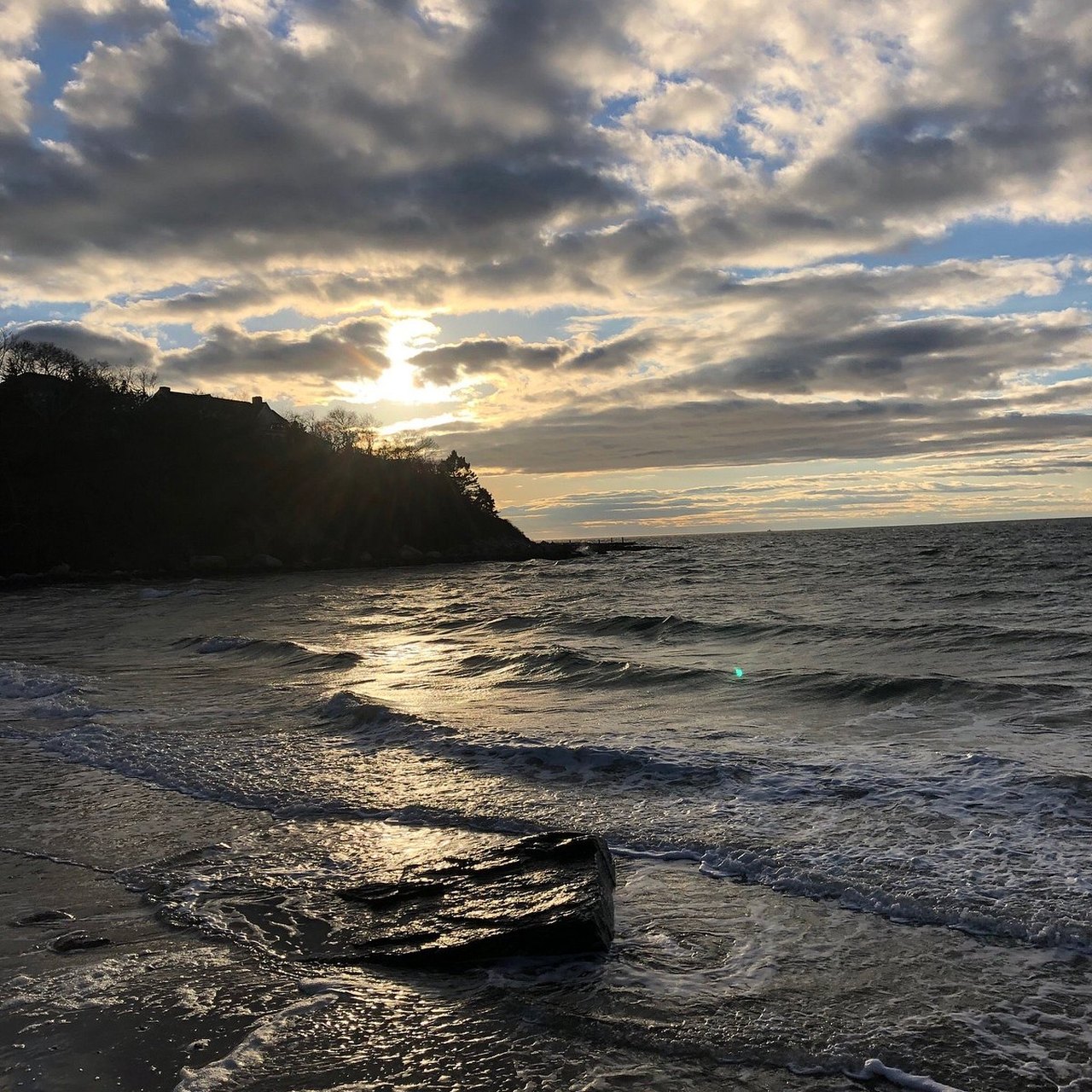 are dogs allowed on old silver beach