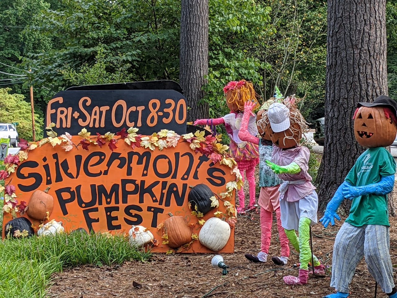 6 Can'tMiss Pumpkin Festivals In North Carolina This Fall