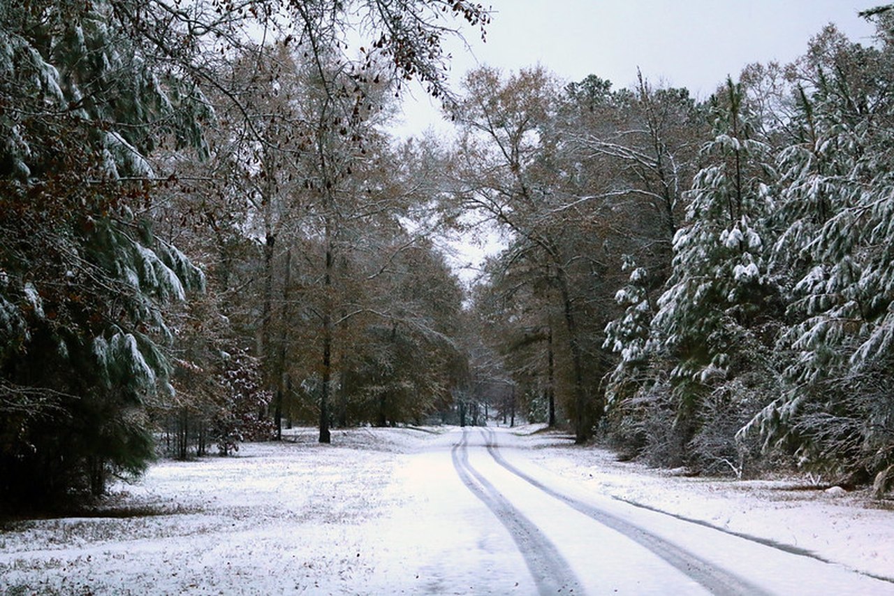 Farmers' Almanac Winter Weather Forecast For Alabama