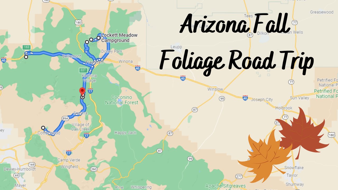 Take A Scenic Road Trip To The Best Fall Foliage In Arizona