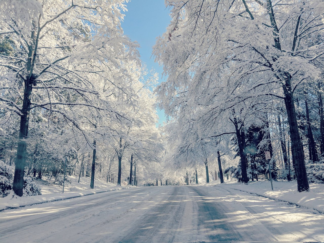 Farmers' Almanac Winter Weather Forecast In North Carolina