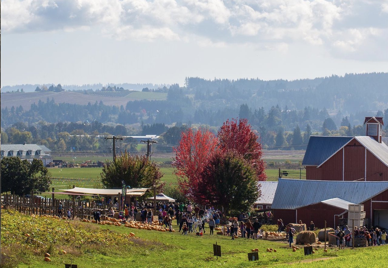 Celebrate All Things Apples This Fall At Oregon Heritage Farms