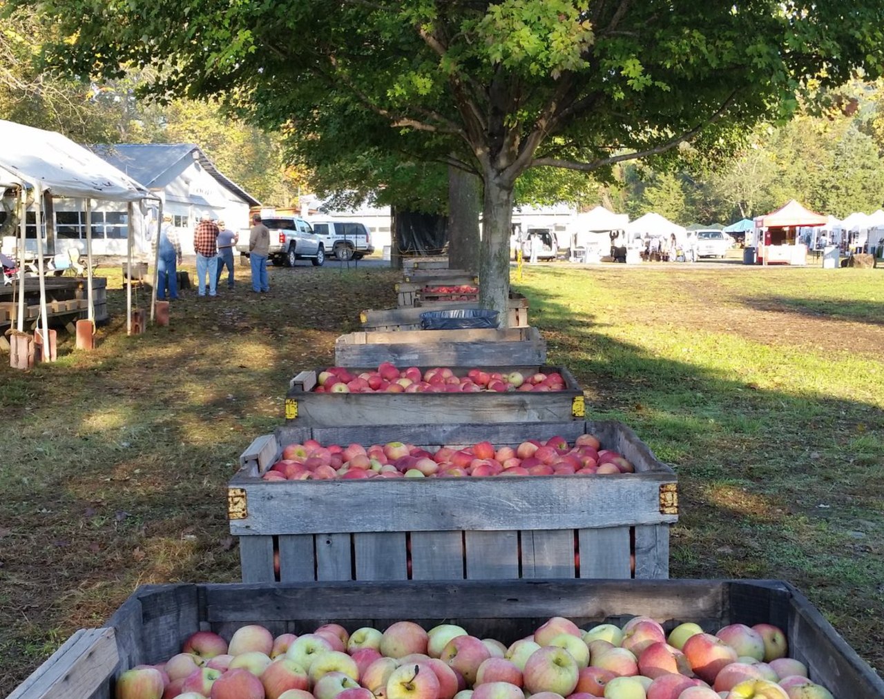 Graves Mountain Apple Festival One Of The Best Fall Festivals In Virginia