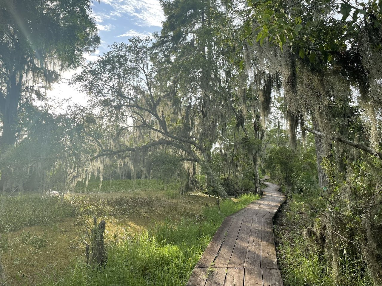 The Bayou Coquille Trail Near New Orleans Is A 1-Mile Scenic Hike