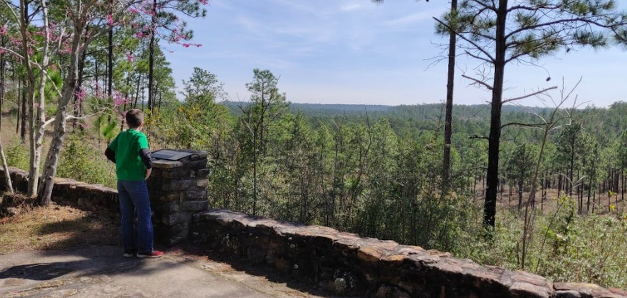 The Kisatchie National Forest Is Louisiana’s Only National Forest