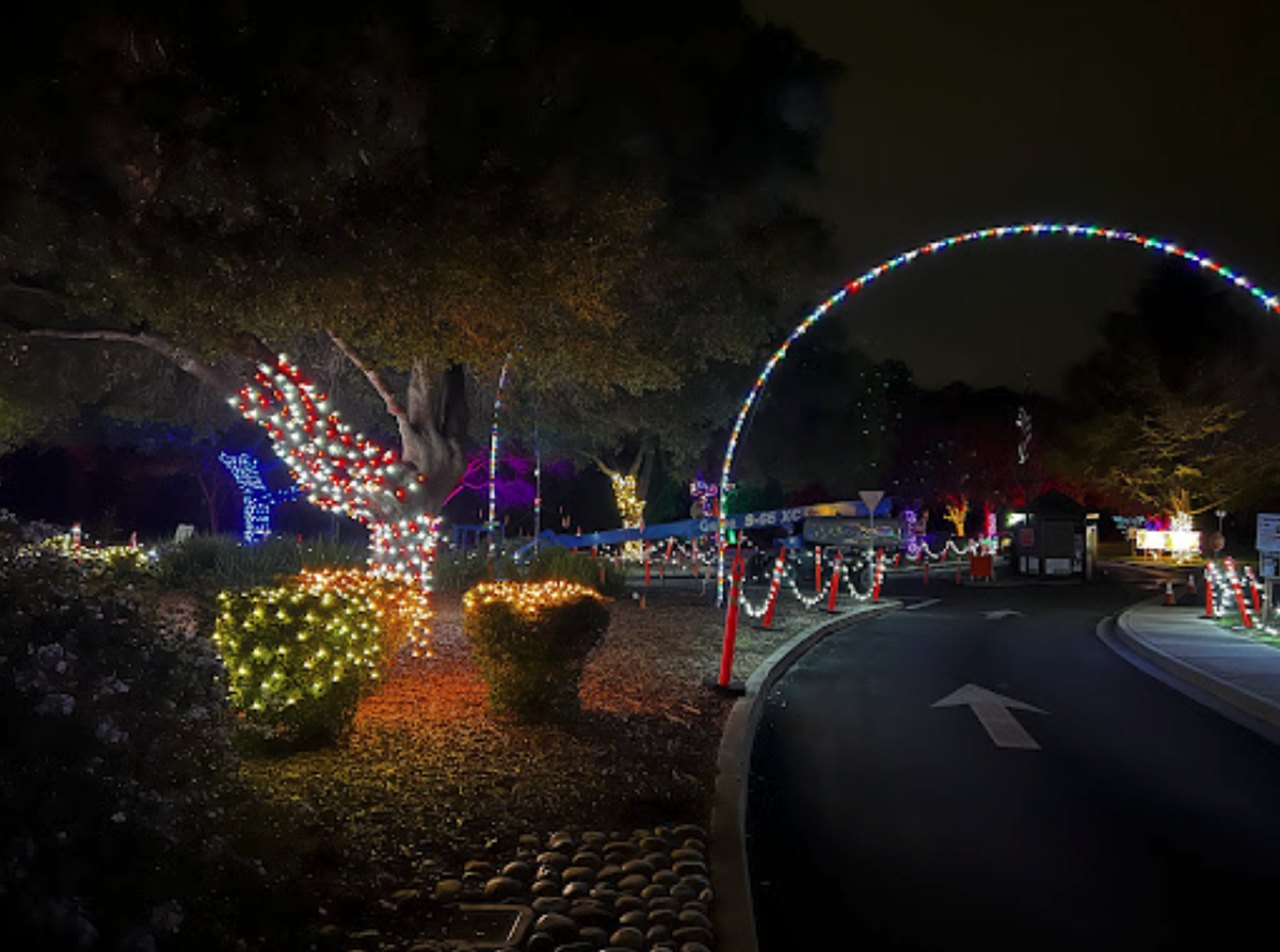 The Fantasy Of Lights DriveThru Is Returning To Northern California