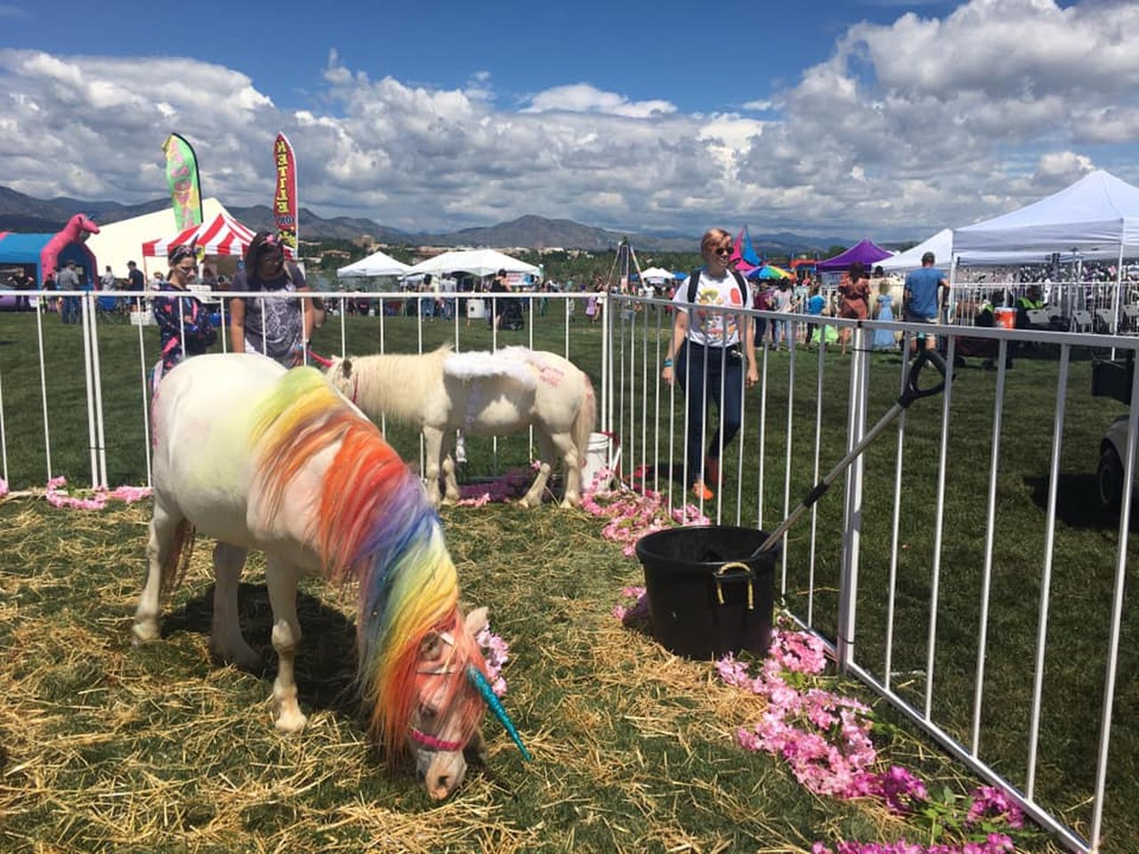 There Is Such A Thing As A Unicorn Festival In Colorado