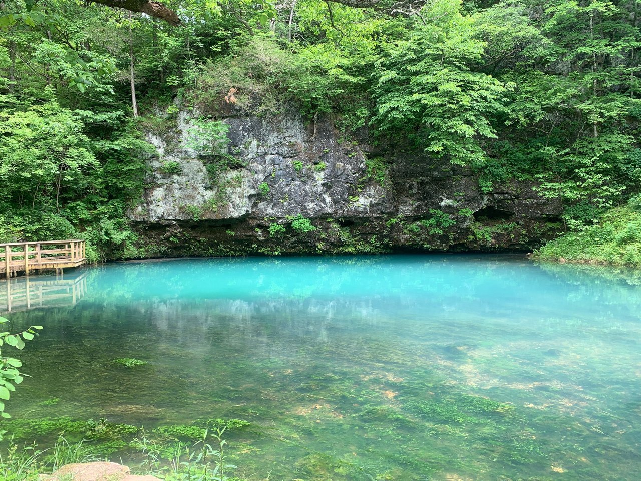 Everyone Should Visit The Epic Blue Spring In Missouri