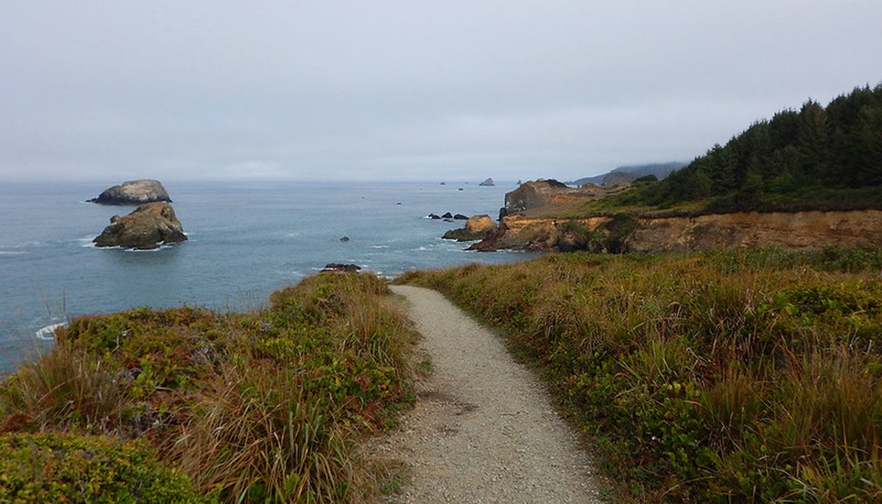 are dogs allowed at trinidad state beach