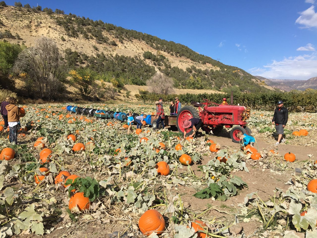 Go Pumpkin Picking, Then Sleep In A Cabin Surrounded By Fall Foliage On This Weekend Getaway In Colorado