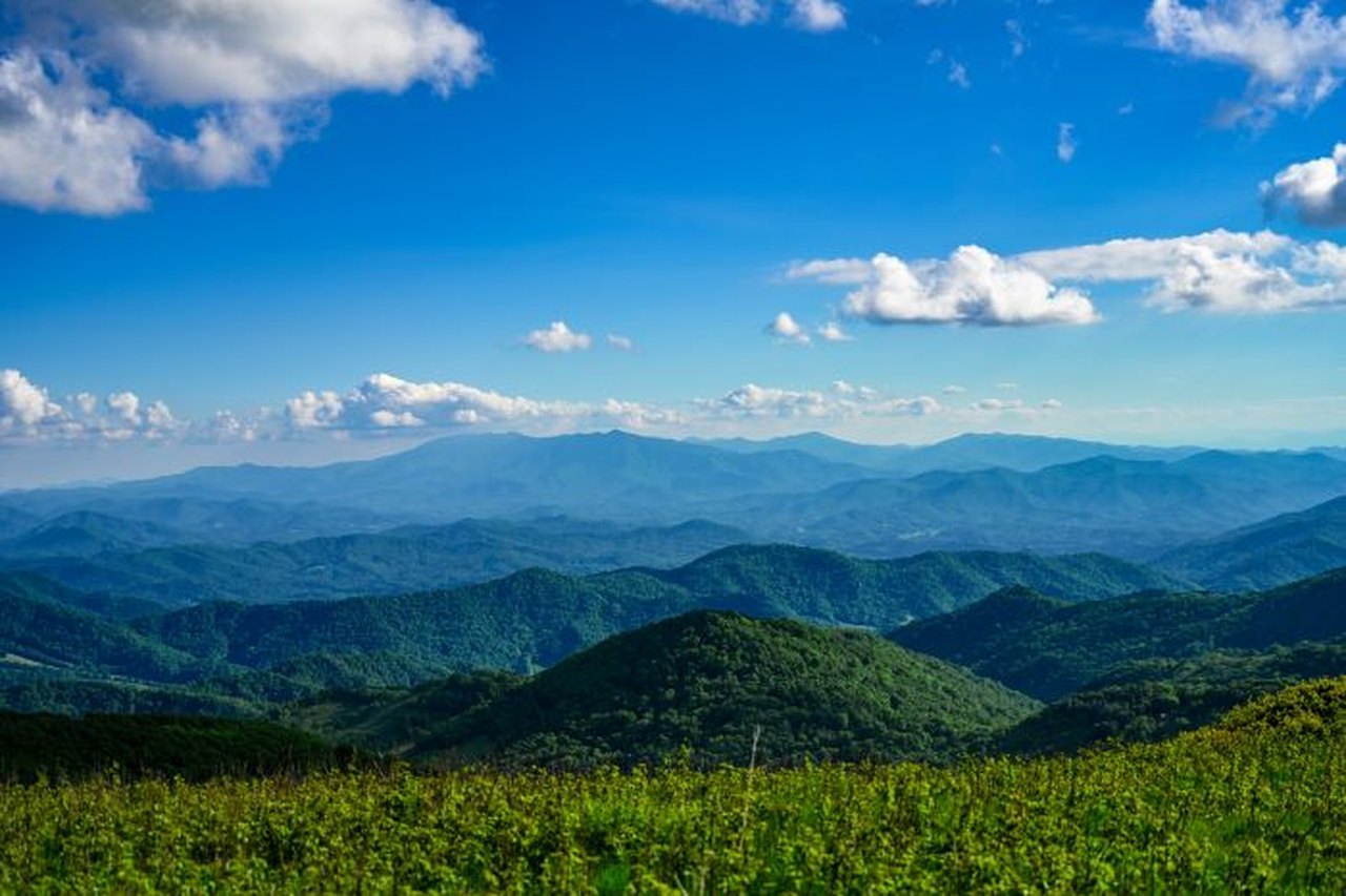 Step Back in Time: Discover Tennessee's Hidden Gem - Vine Cedar Glade State Natural Area