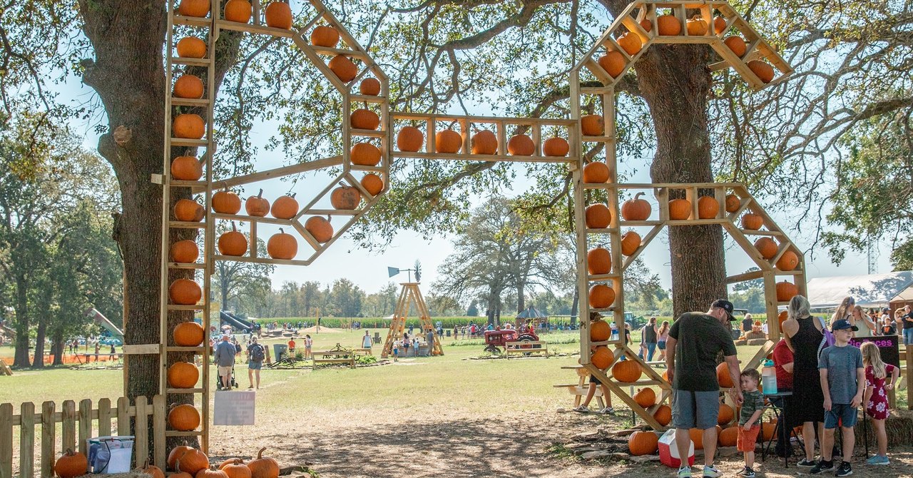 One Of The Largest Fall Festivals In Texas Is At P6 Farms