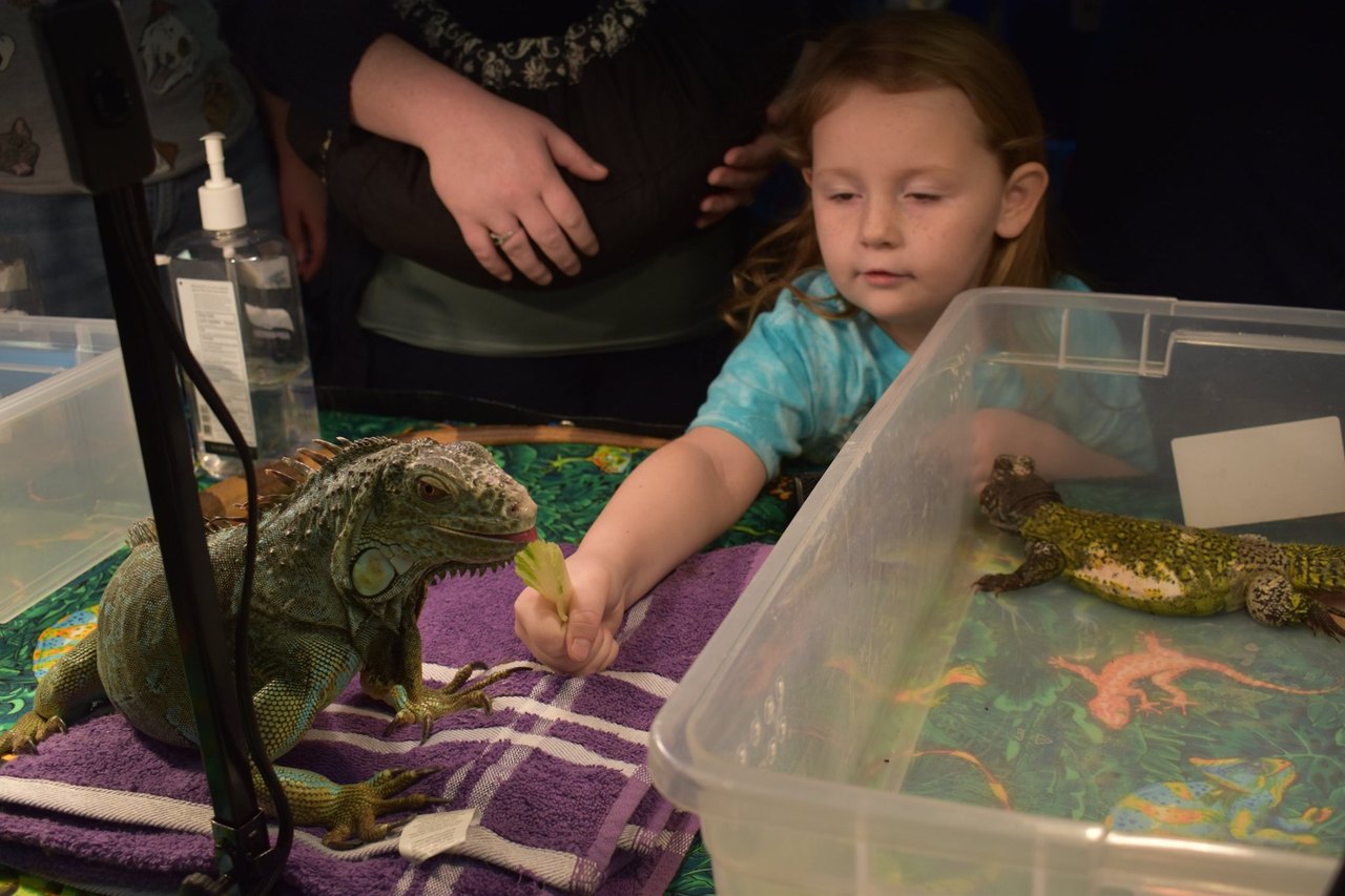 Wild Day Trip For Reptile Lovers: Kentucky Herpetological Society