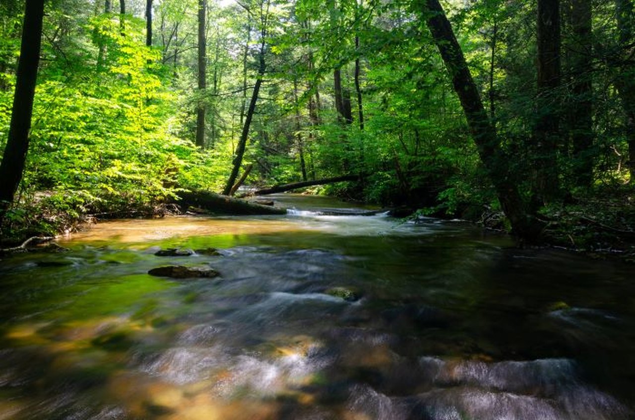 Visit A Lovely Park In Church Hill Tennessee With Its Own Waterfall