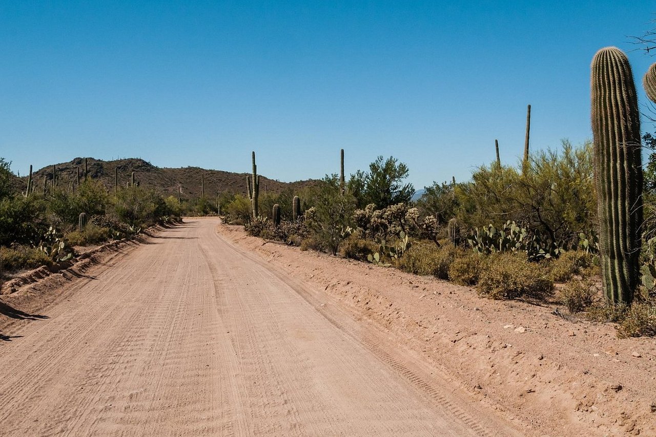 Best Scenic Drives In Arizona Bajada Loop Drive best-scenic-drives-in-arizona-bajada-loop-drive