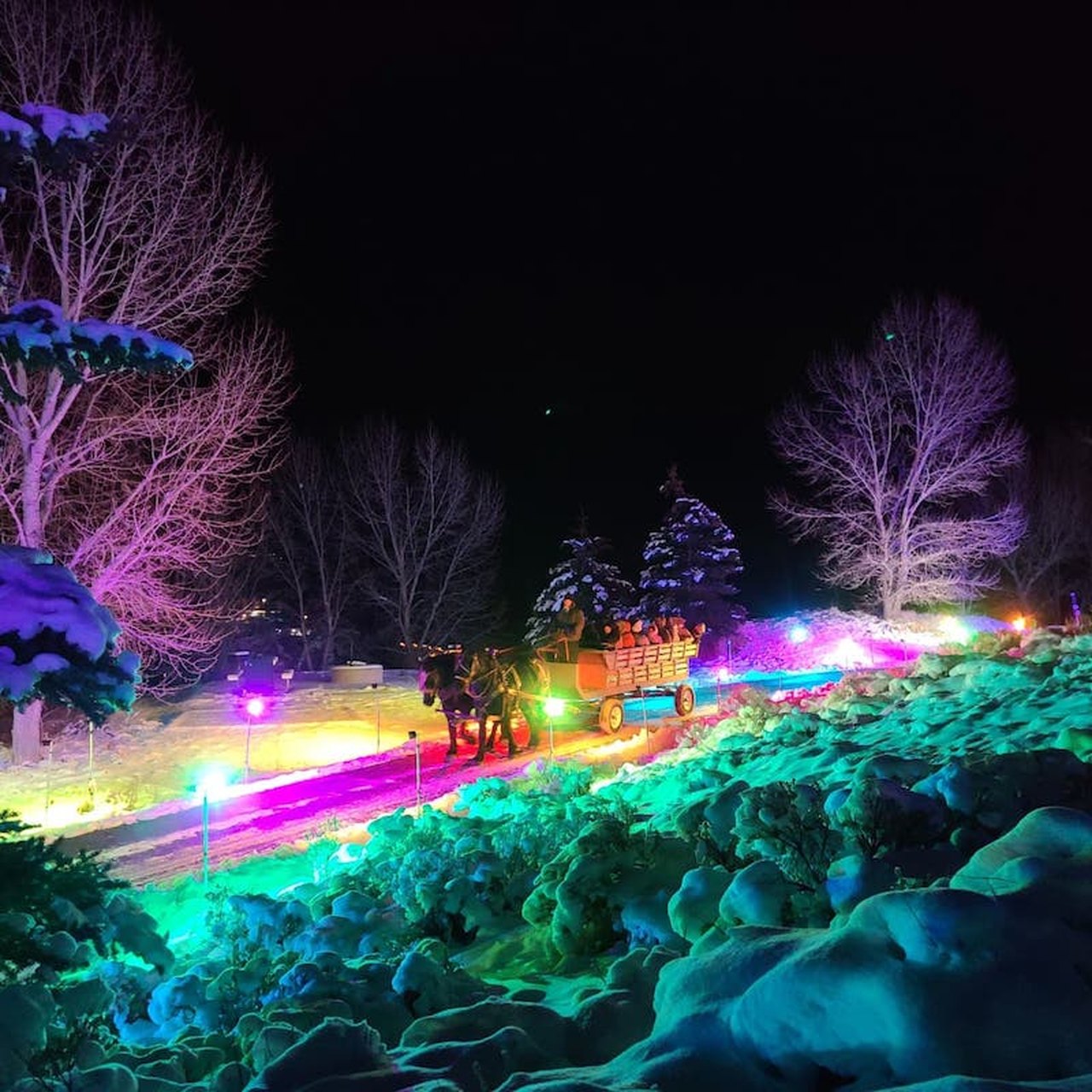 Jordanelle State Park Holiday Light Display Wagon Rides In Utah