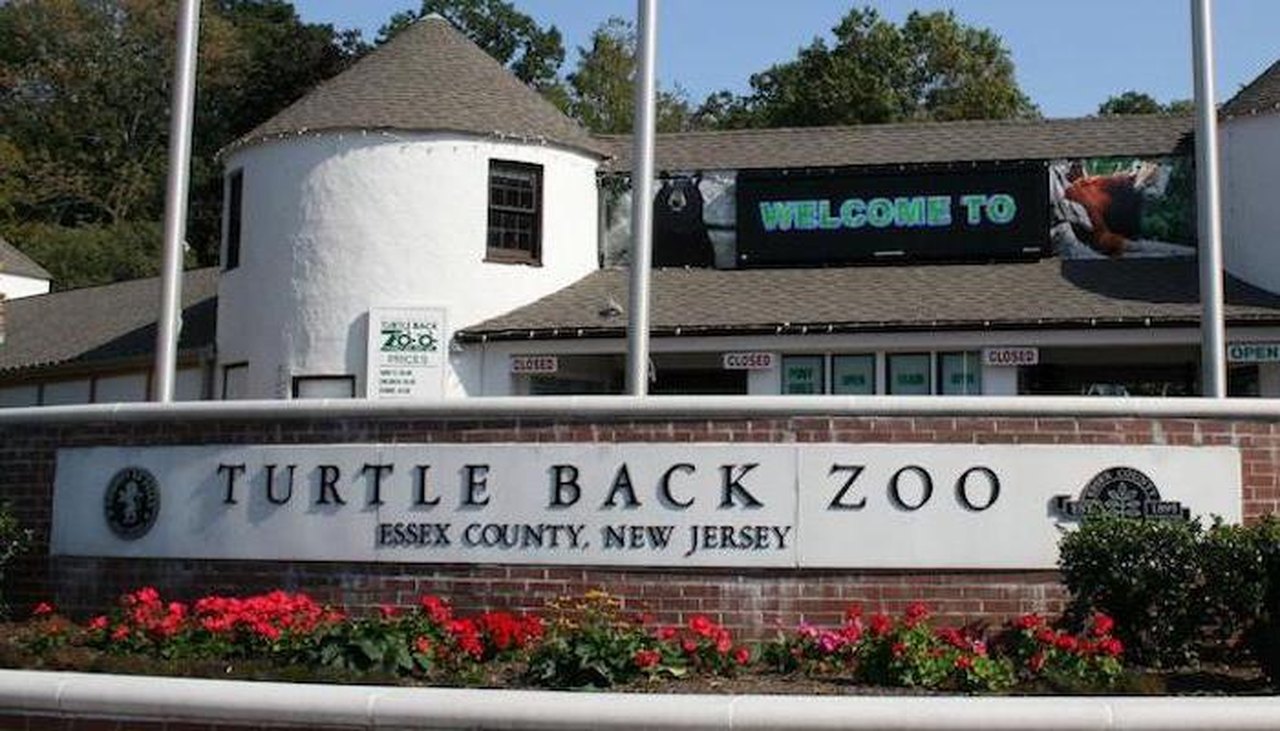 This Zoo Restaurant In New Jersey Is A Great Family Outing